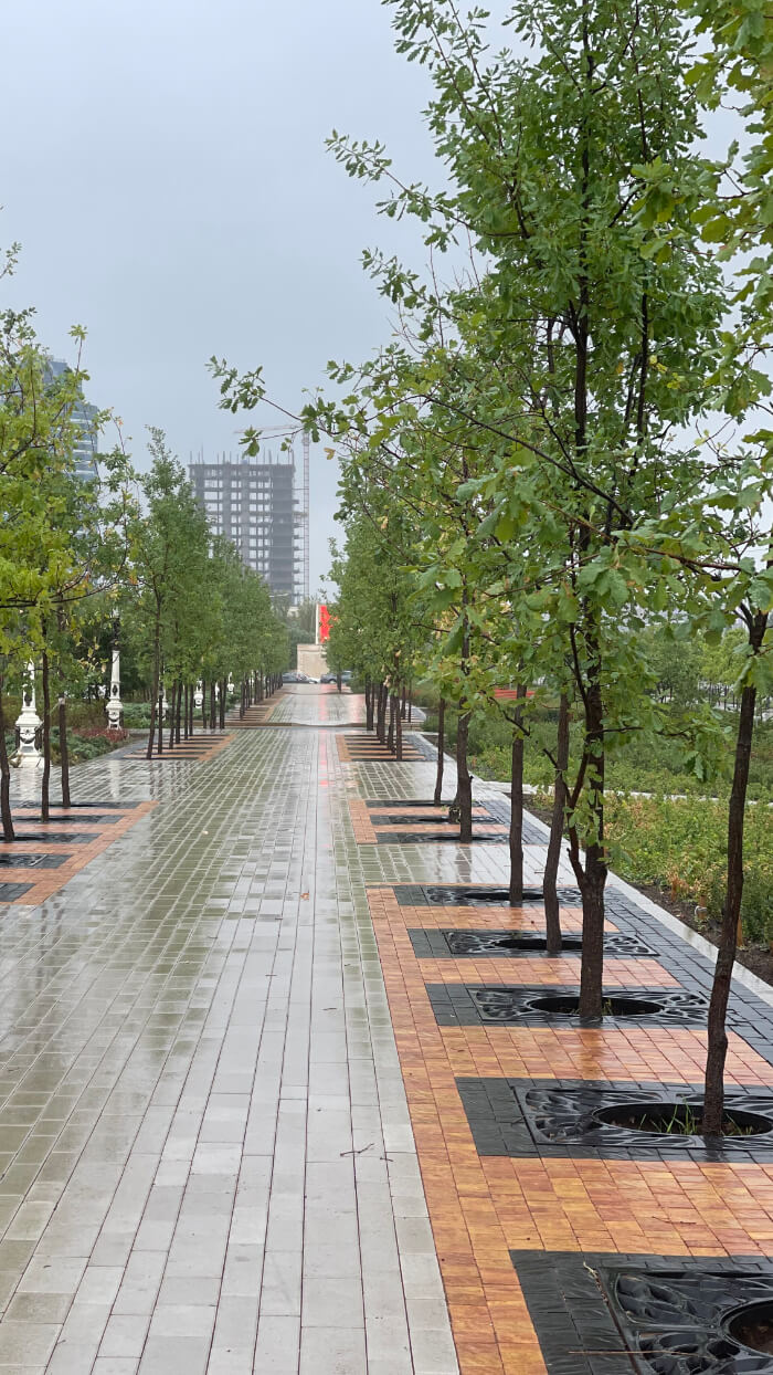 Приствольная решетка для дерева ZKING CRUST 1.2х1.2м Черная в Благовещенске фото