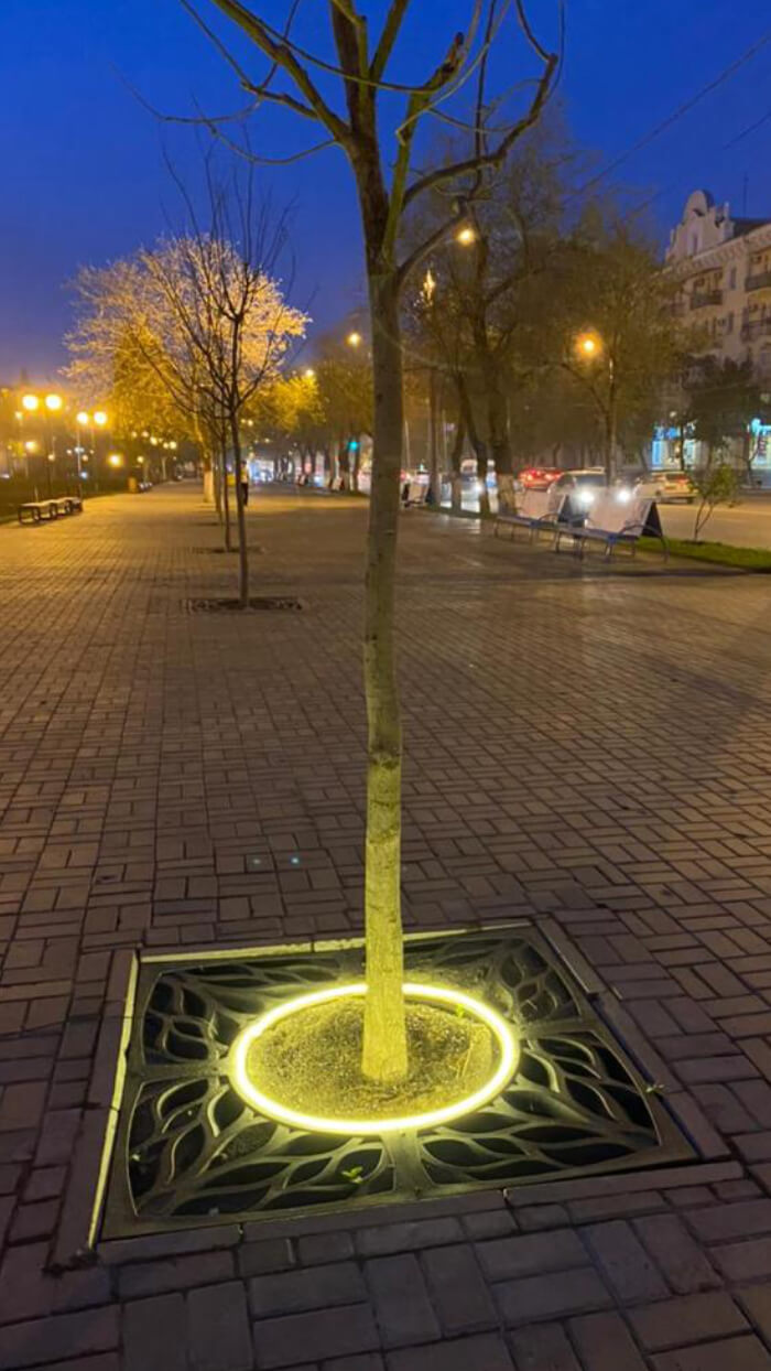 Приствольная решетка для дерева ZKING CRUST 1.2х1.2м Черная в Благовещенске фото